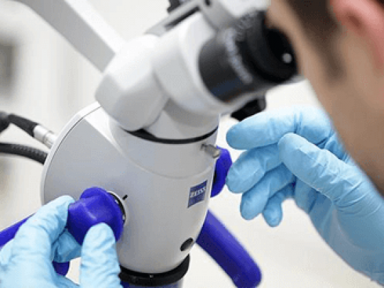 Лечение зубов под микроскопом Carl Zeiss