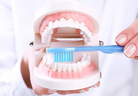 На изображении стоматолог показывает как правильно нужно соблюдать уход за протезами, Евродент фото-4